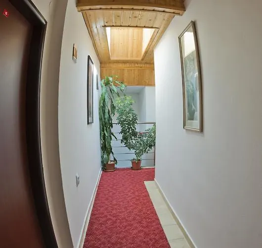 בית הארחה Penzion Rozalia *